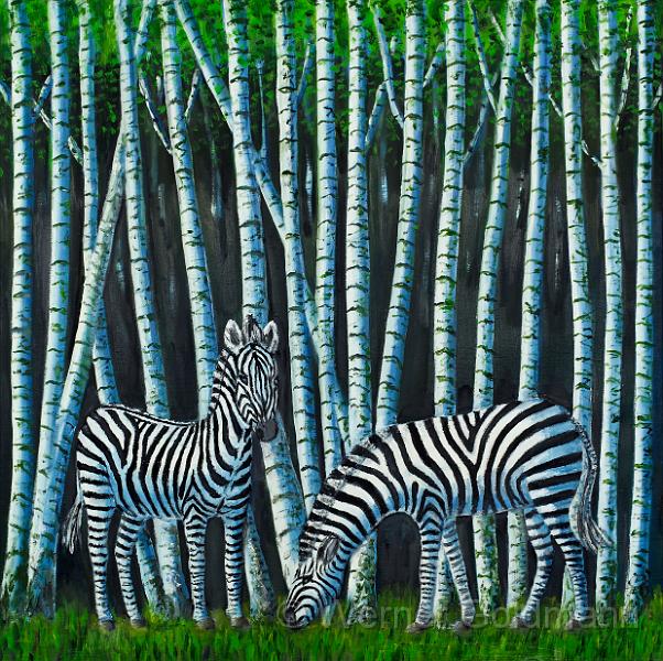 Zebras im Birkenwald (100x100)cm.jpg - Zebras im Birkenwald / Zebras in the birch forest (100x100)cm